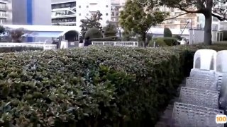 谁给个成人网站KTV高台后续